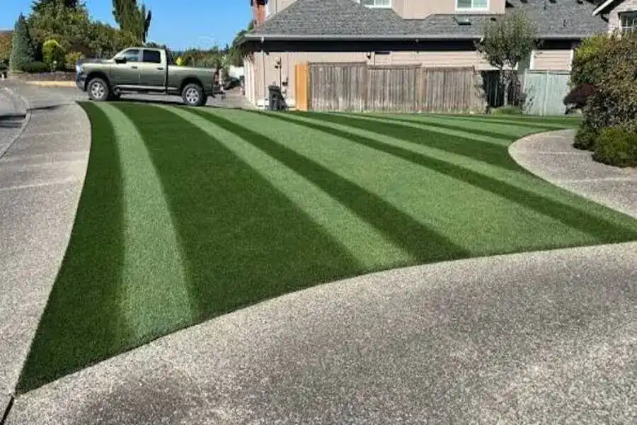Freshly laid cultivated ryegrass lawn